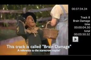 Brain damage? - "if I only had a brain"