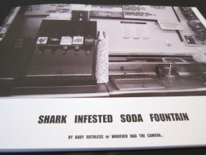 Alison Mosshart Dead Weather book White Stripes Vault