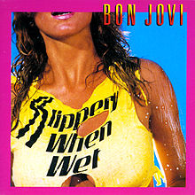 The original album art for Bon Jovi's Slippery When Wet. Not sexy, sexist...