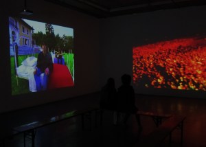 Oasis exhibition screens