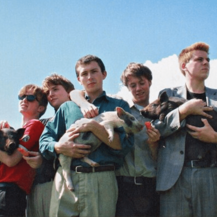 A New Year, A New Band:&nbsp;Shame