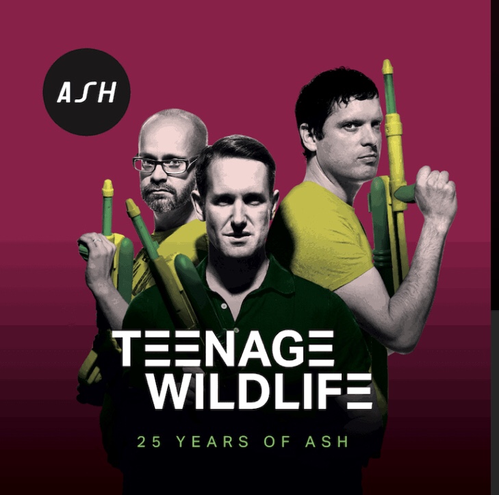 The Oldest Teenagers In Town: Ash Celebrate 25&nbsp;Years